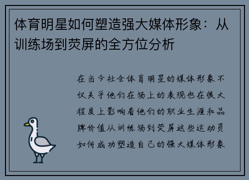 体育明星如何塑造强大媒体形象：从训练场到荧屏的全方位分析